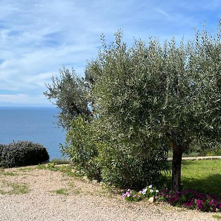 Bed and Breakfast Stella D'Argento Порто-Санто-Стефано Екстер'єр фото