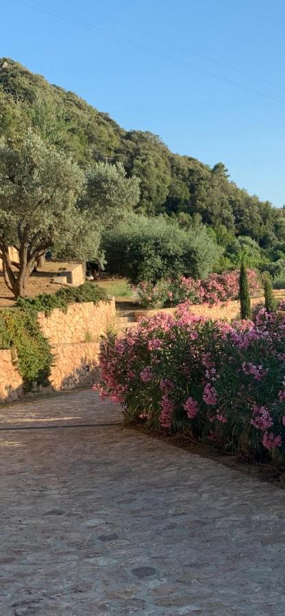 Bed and Breakfast Stella D'Argento Порто-Санто-Стефано Екстер'єр фото